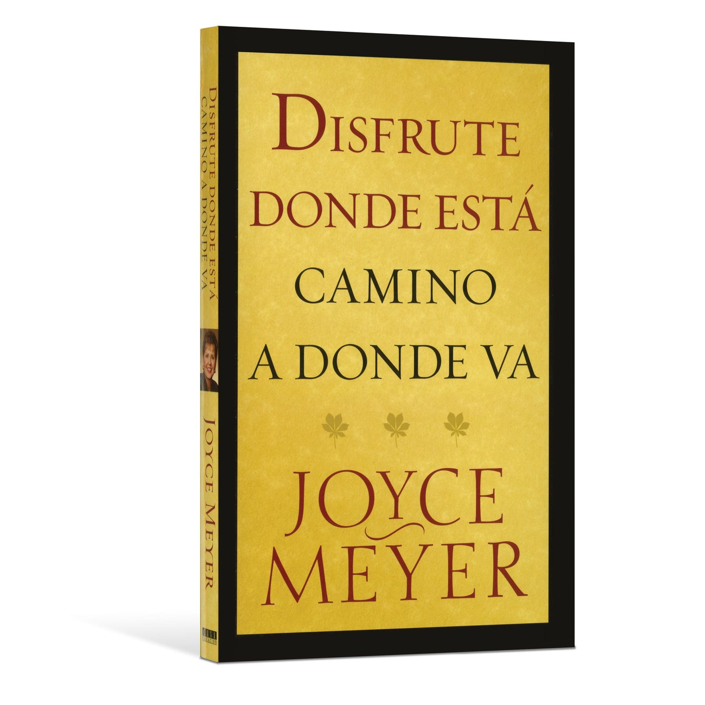 Disfrute Donde Está; Camino a Donde Va