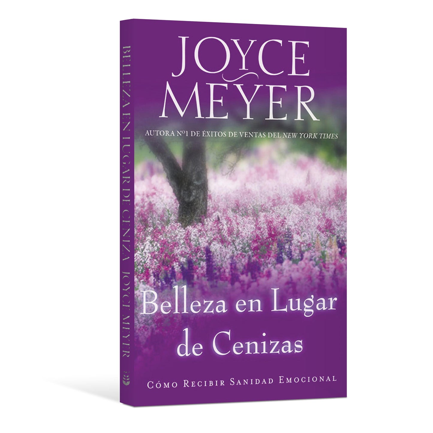 Belleza en Lugar de Ceniza