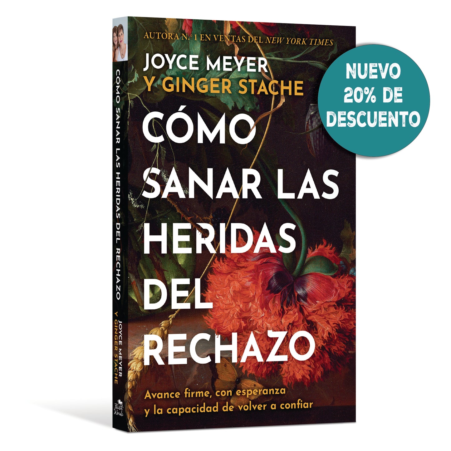 Cómo sanar las heridas del rechazo