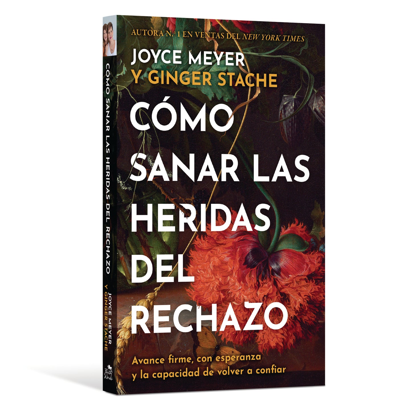 Cómo sanar las heridas del rechazo